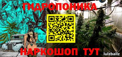 PSILOCYBIN Будённовск