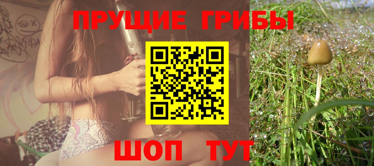 Галлюциногенные грибы Psilocybine cubensis  Псилоцибиновые грибы Psilocybine cubensis  Вход с VPN  Лянтор 